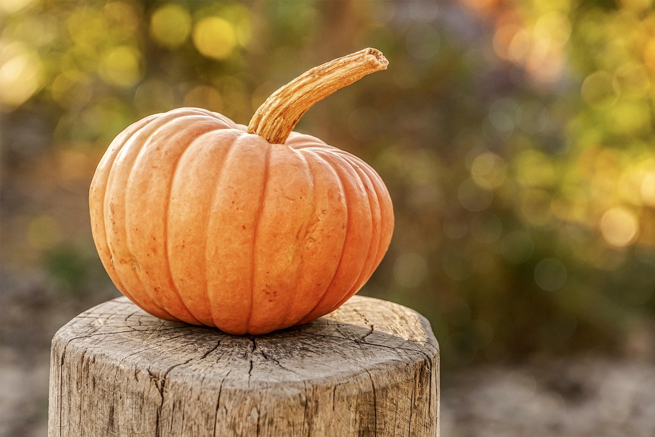 Pourquoi le secteur saisonnier attire-t-il de plus en plus d’entrepreneurs ?